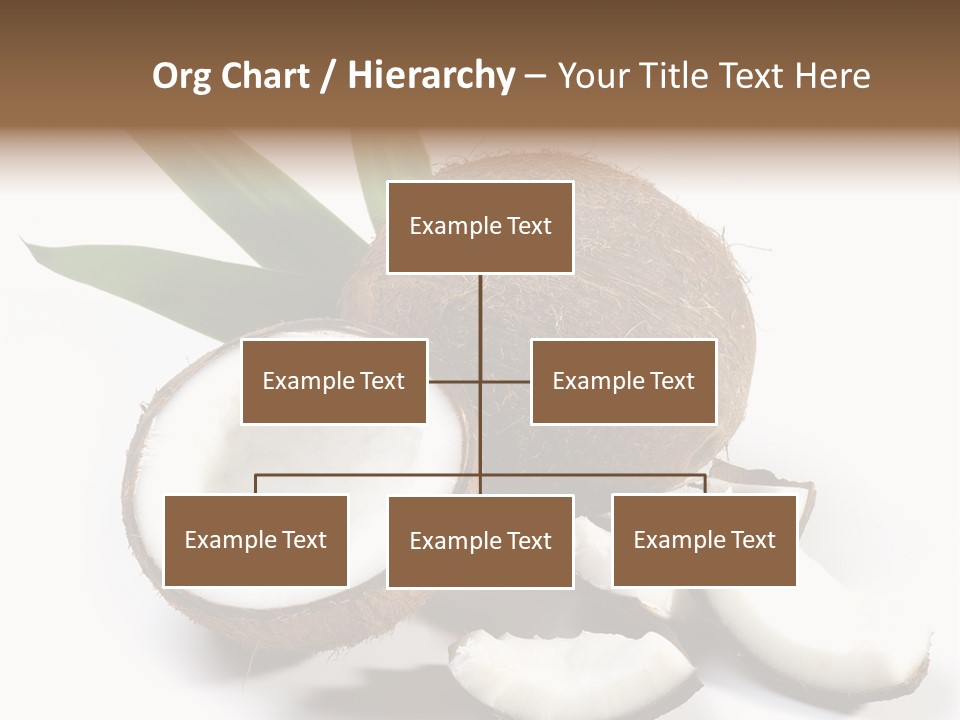 Organic Isolated Coco PowerPoint Template