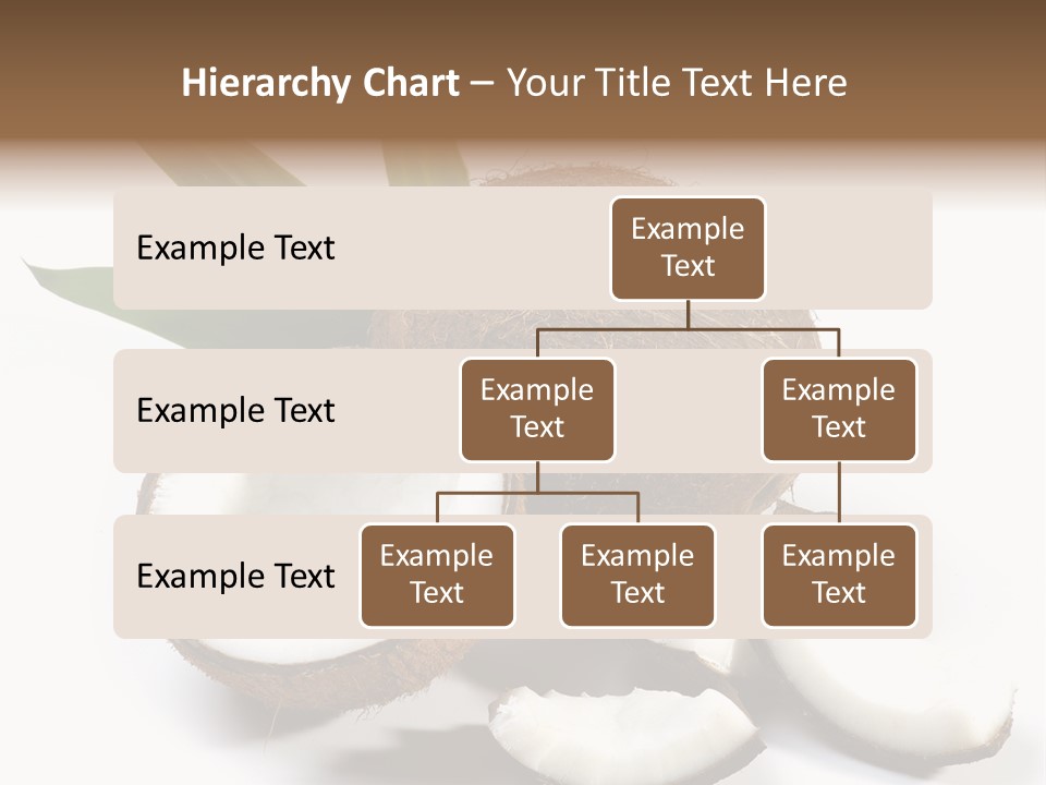 Organic Isolated Coco PowerPoint Template