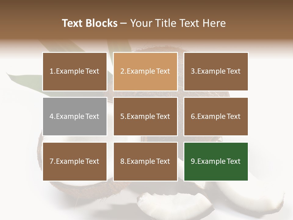 Organic Isolated Coco PowerPoint Template