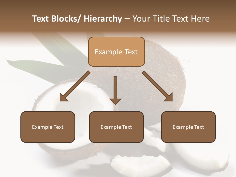 Organic Isolated Coco PowerPoint Template
