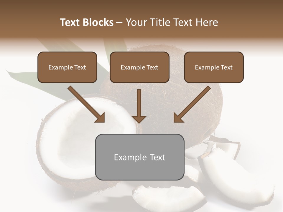Organic Isolated Coco PowerPoint Template