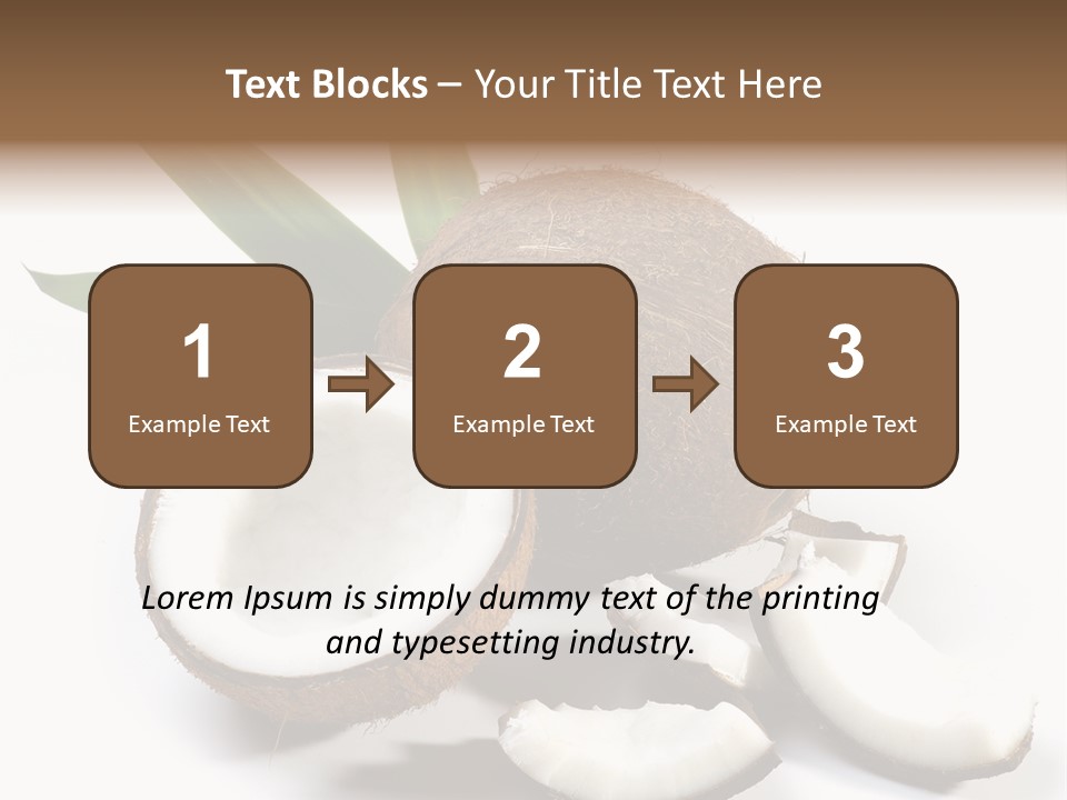 Organic Isolated Coco PowerPoint Template