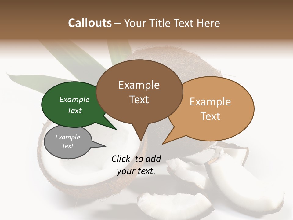 Organic Isolated Coco PowerPoint Template