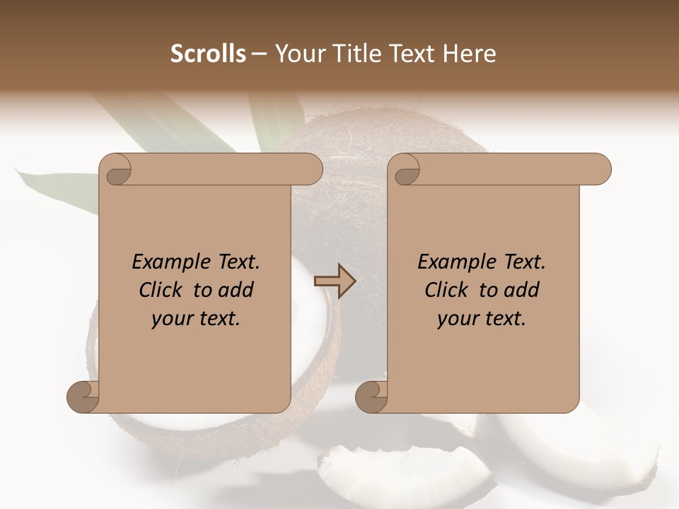 Organic Isolated Coco PowerPoint Template