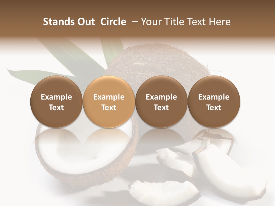 Organic Isolated Coco PowerPoint Template