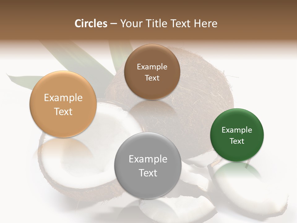 Organic Isolated Coco PowerPoint Template