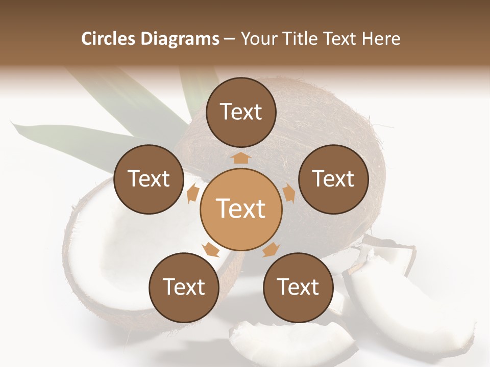 Organic Isolated Coco PowerPoint Template
