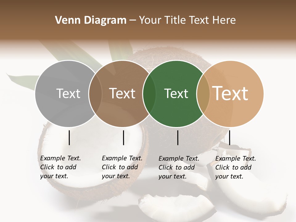 Organic Isolated Coco PowerPoint Template