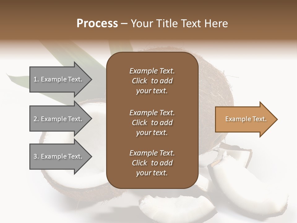 Organic Isolated Coco PowerPoint Template