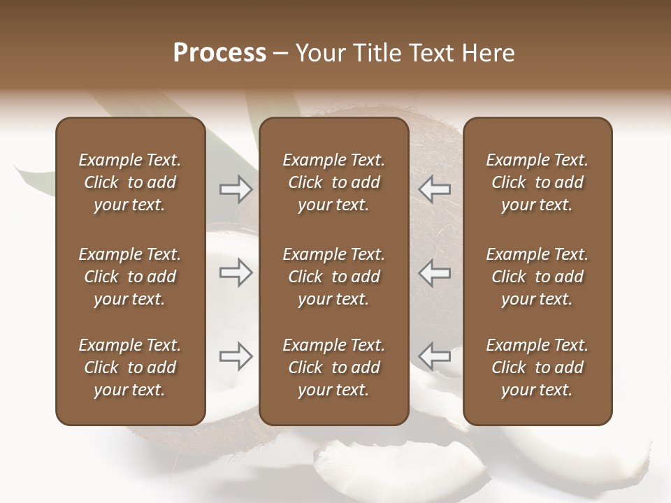 Organic Isolated Coco PowerPoint Template