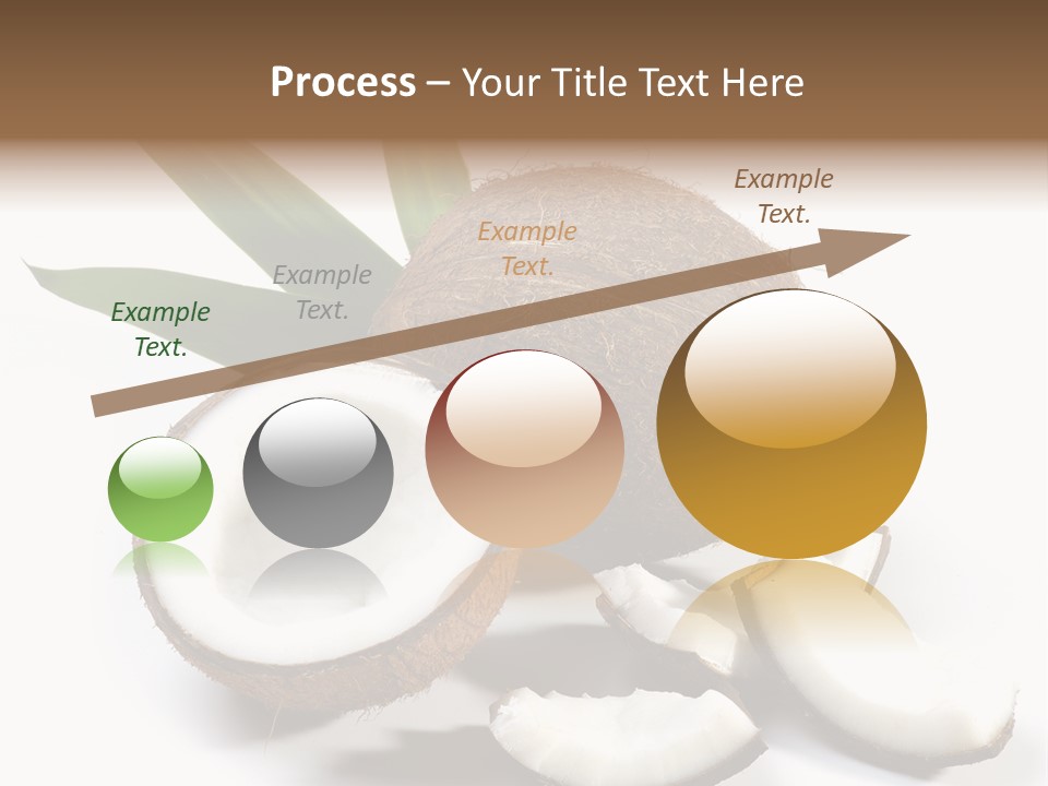 Organic Isolated Coco PowerPoint Template