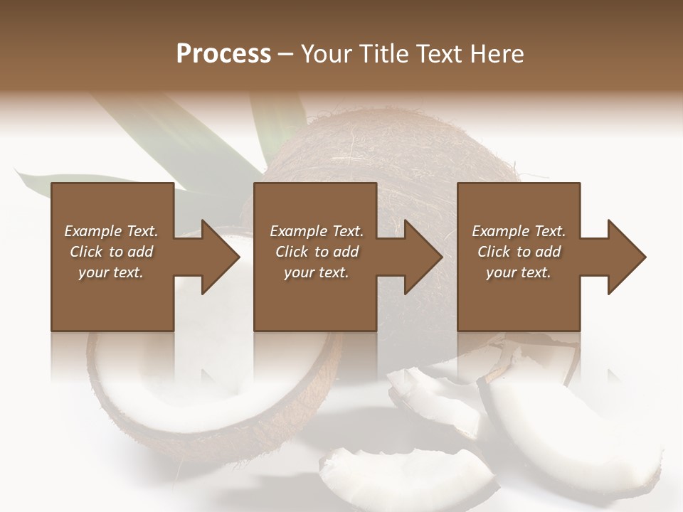 Organic Isolated Coco PowerPoint Template