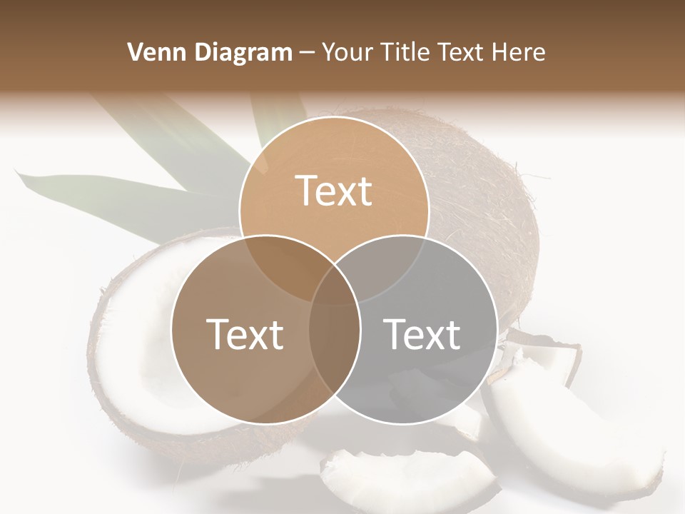 Organic Isolated Coco PowerPoint Template