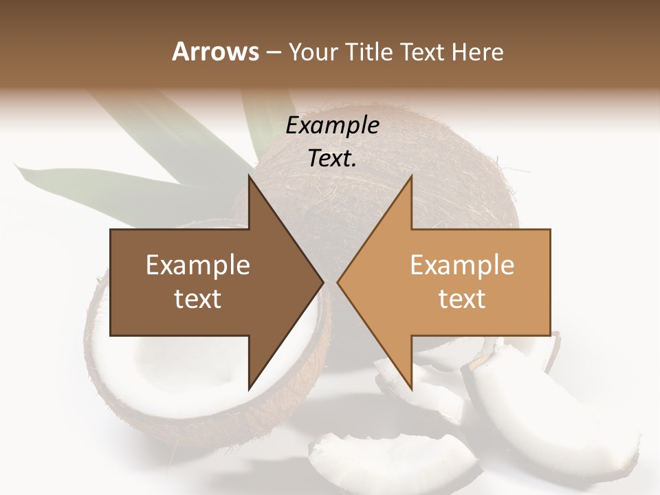 Organic Isolated Coco PowerPoint Template