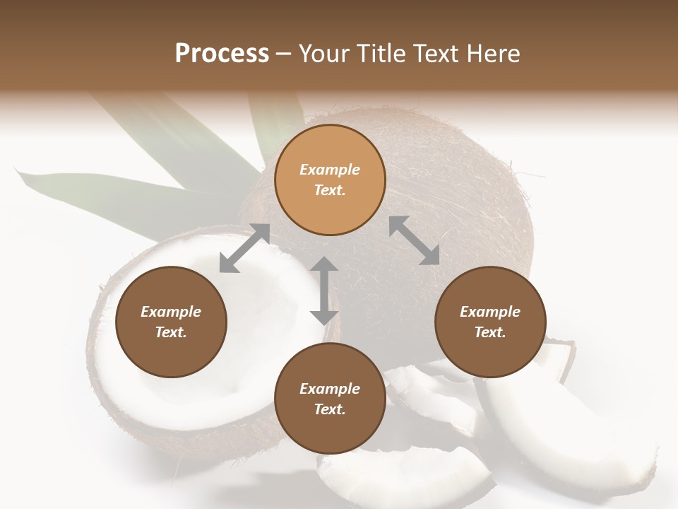 Organic Isolated Coco PowerPoint Template