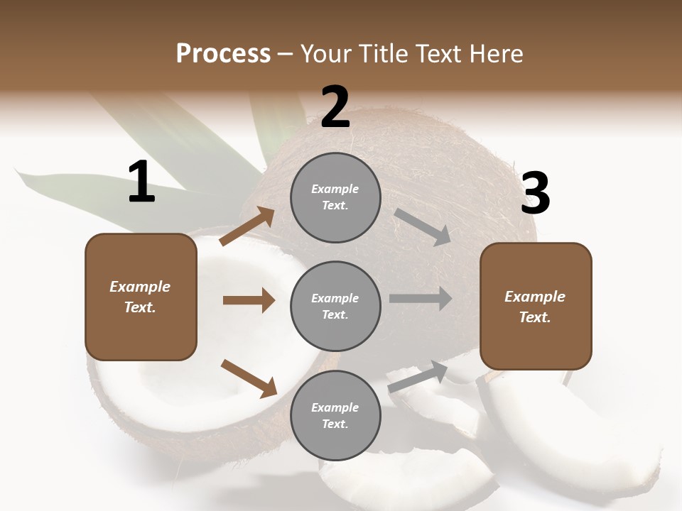Organic Isolated Coco PowerPoint Template