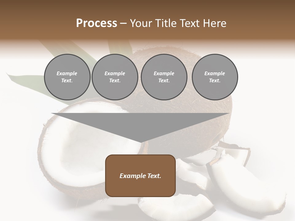 Organic Isolated Coco PowerPoint Template