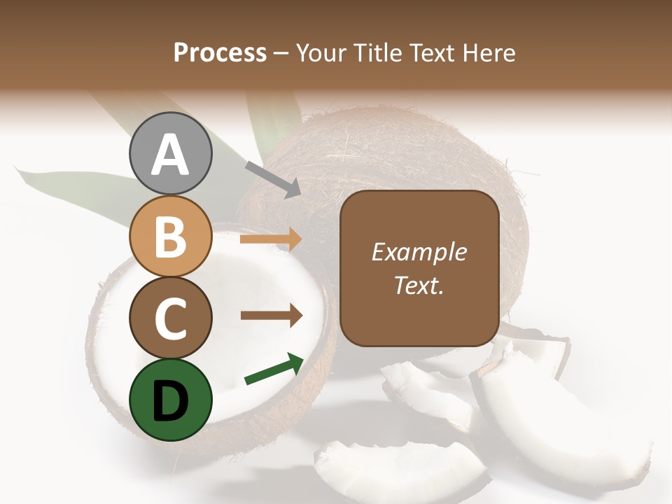 Organic Isolated Coco PowerPoint Template