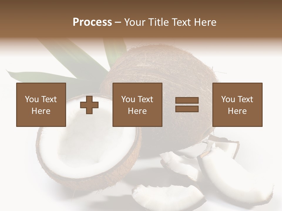 Organic Isolated Coco PowerPoint Template