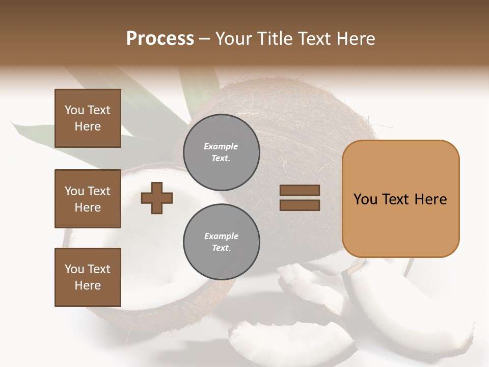 Organic Isolated Coco PowerPoint Template
