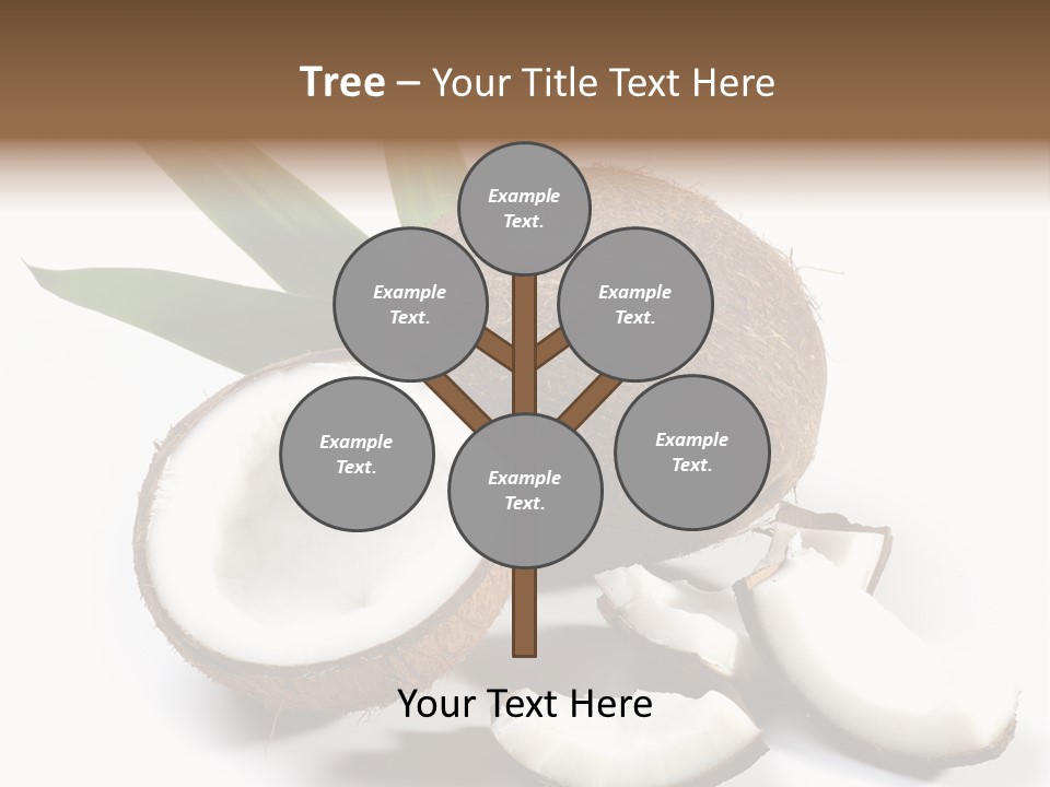 Organic Isolated Coco PowerPoint Template