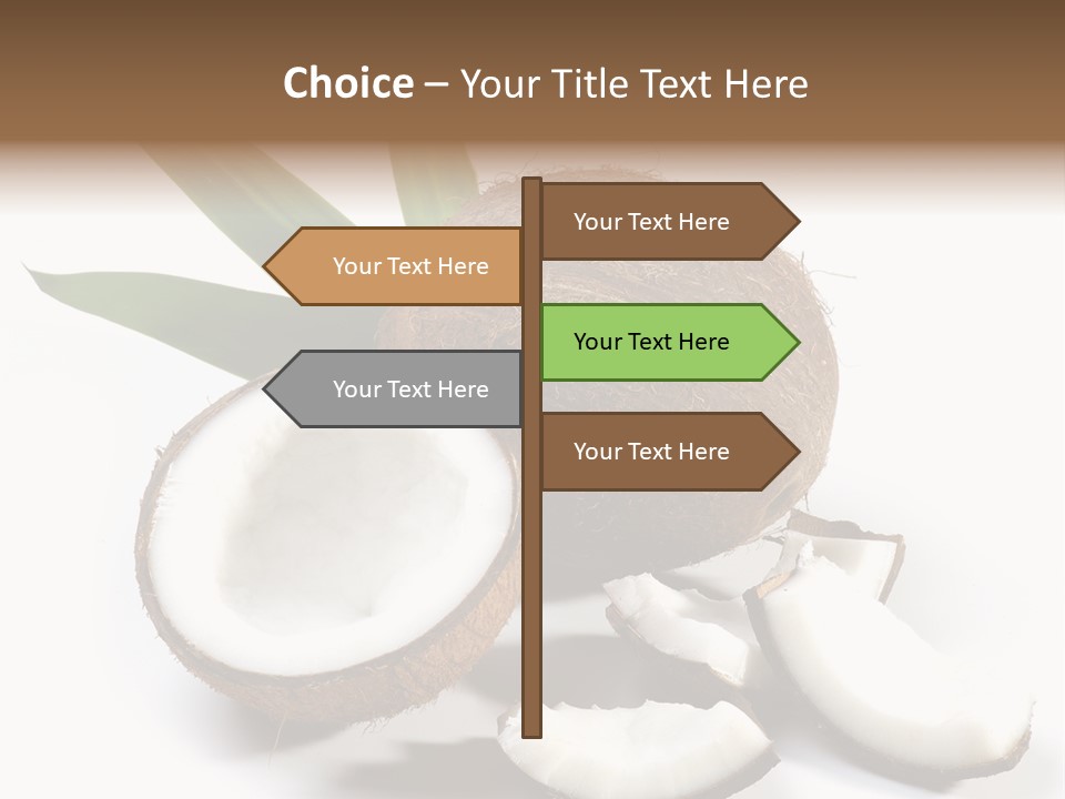 Organic Isolated Coco PowerPoint Template