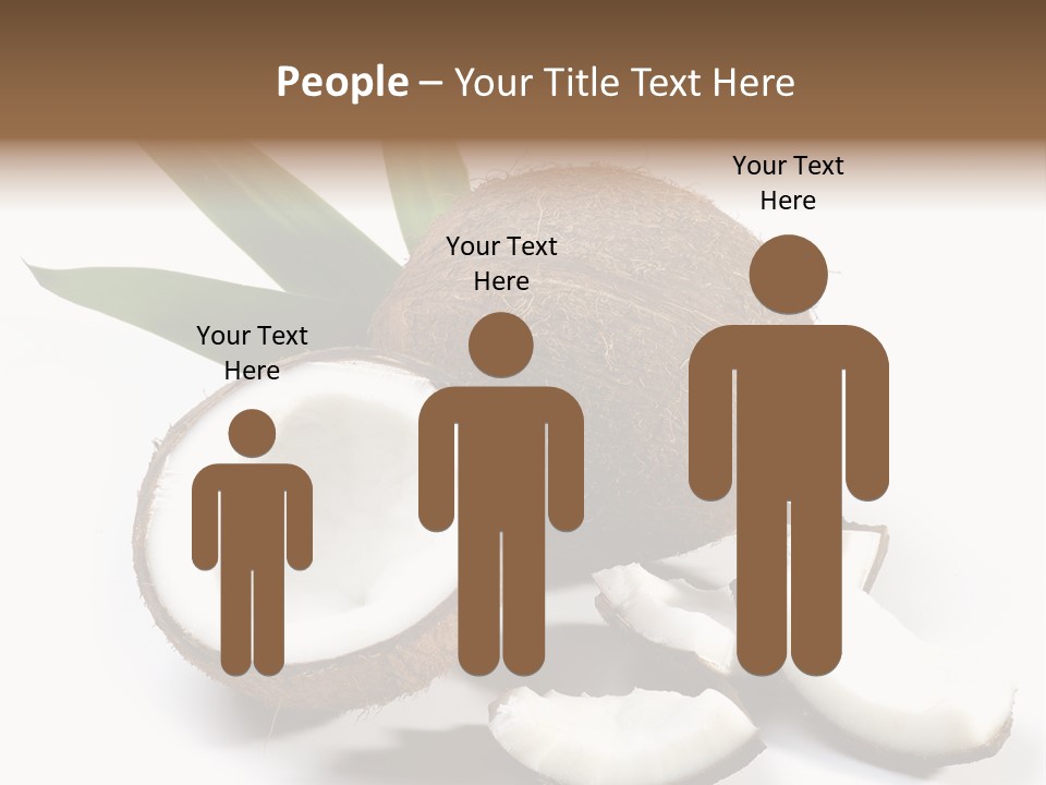 Organic Isolated Coco PowerPoint Template