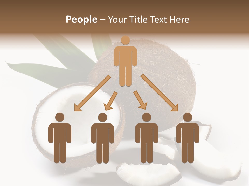 Organic Isolated Coco PowerPoint Template