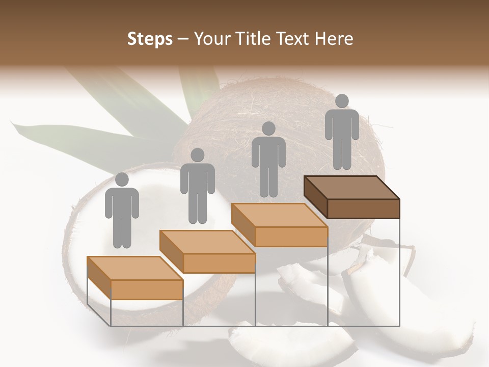 Organic Isolated Coco PowerPoint Template