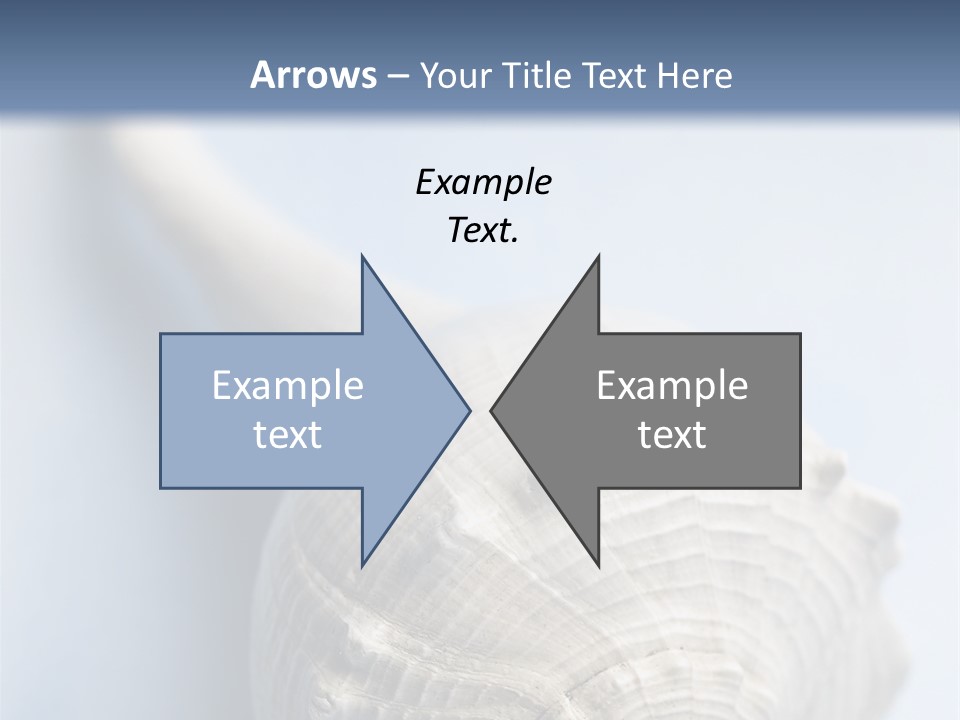 Background Sea Ocean PowerPoint Template