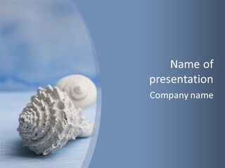 Shell Seashore Nobody PowerPoint Template