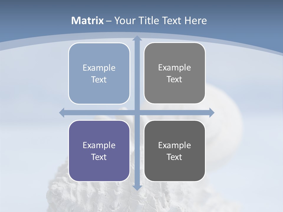 Shell Seashore Nobody PowerPoint Template