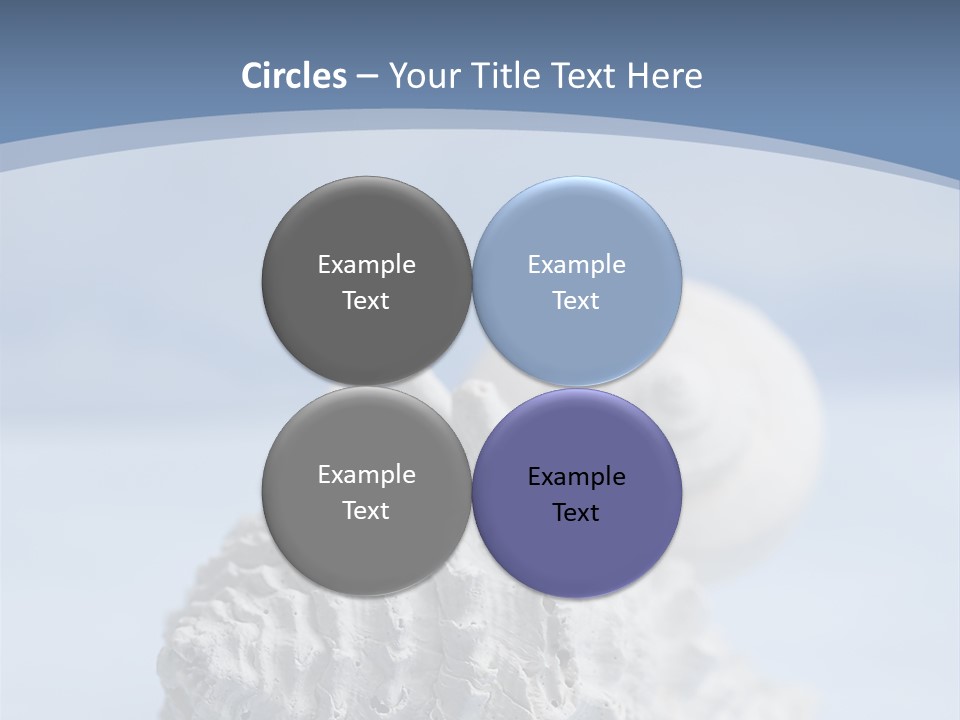 Shell Seashore Nobody PowerPoint Template