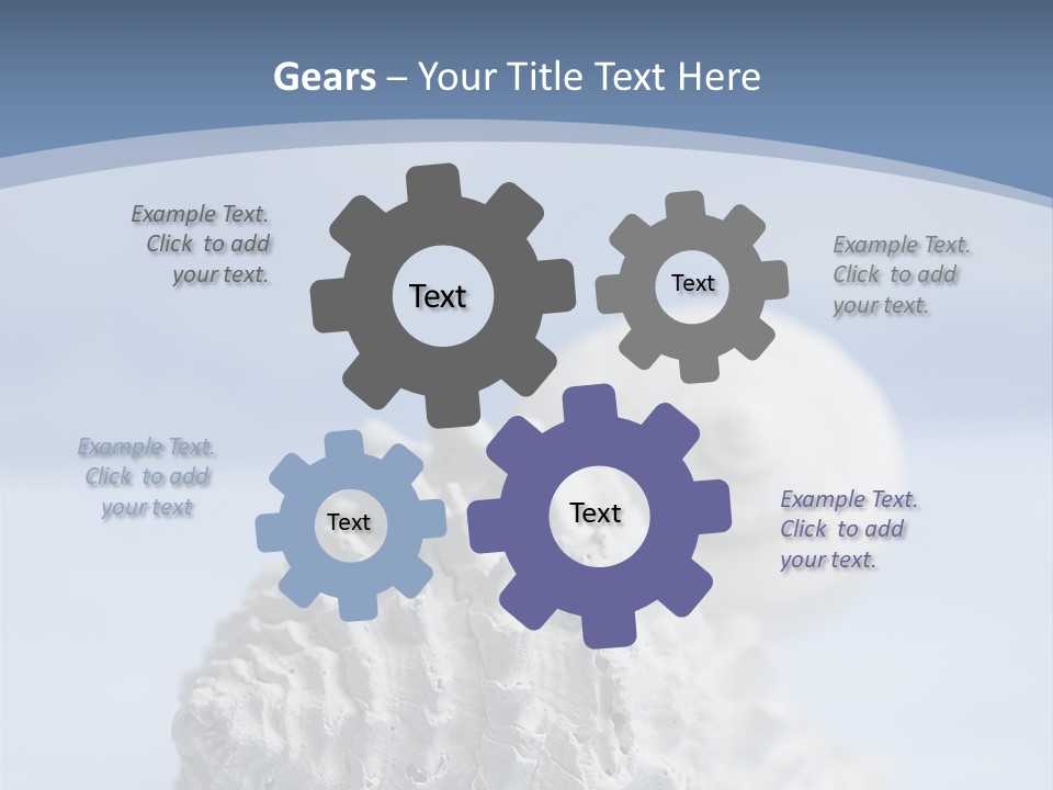 Shell Seashore Nobody PowerPoint Template