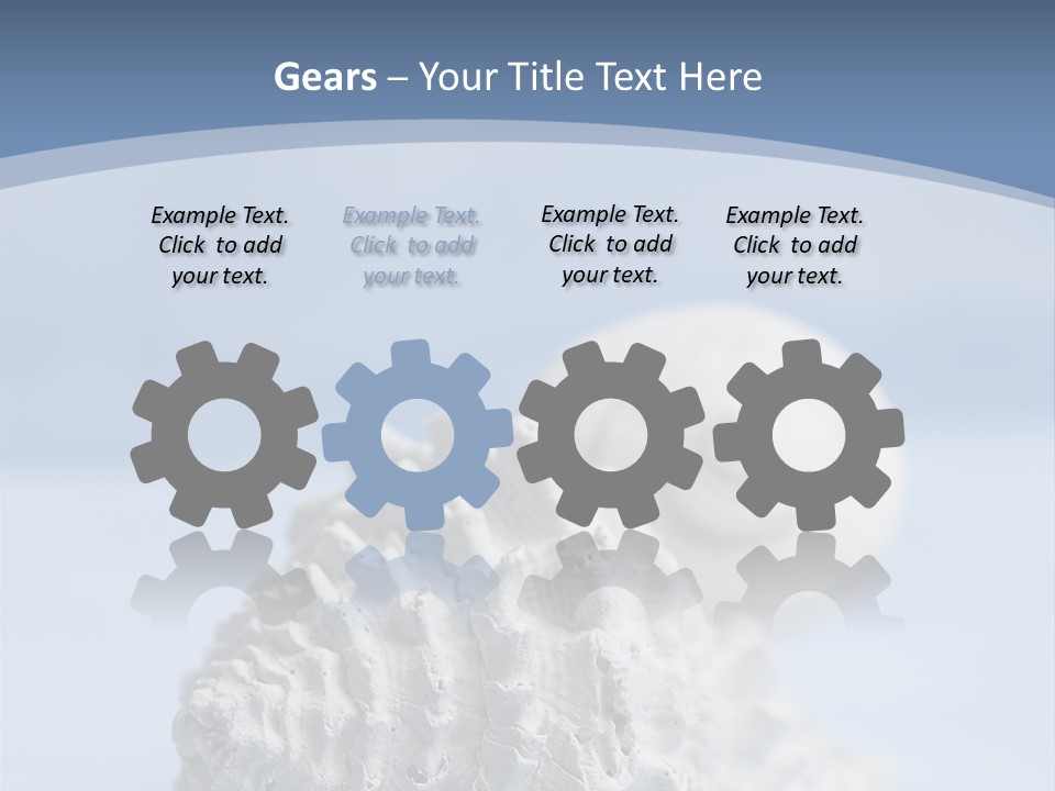 Shell Seashore Nobody PowerPoint Template