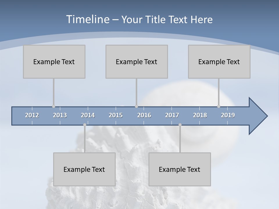 Shell Seashore Nobody PowerPoint Template