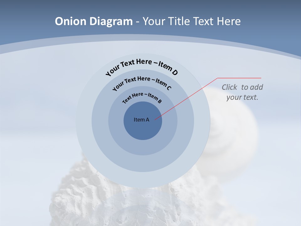 Shell Seashore Nobody PowerPoint Template