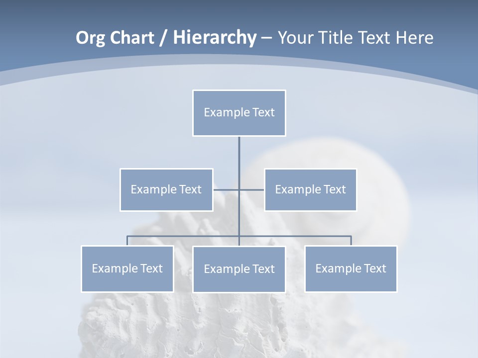 Shell Seashore Nobody PowerPoint Template