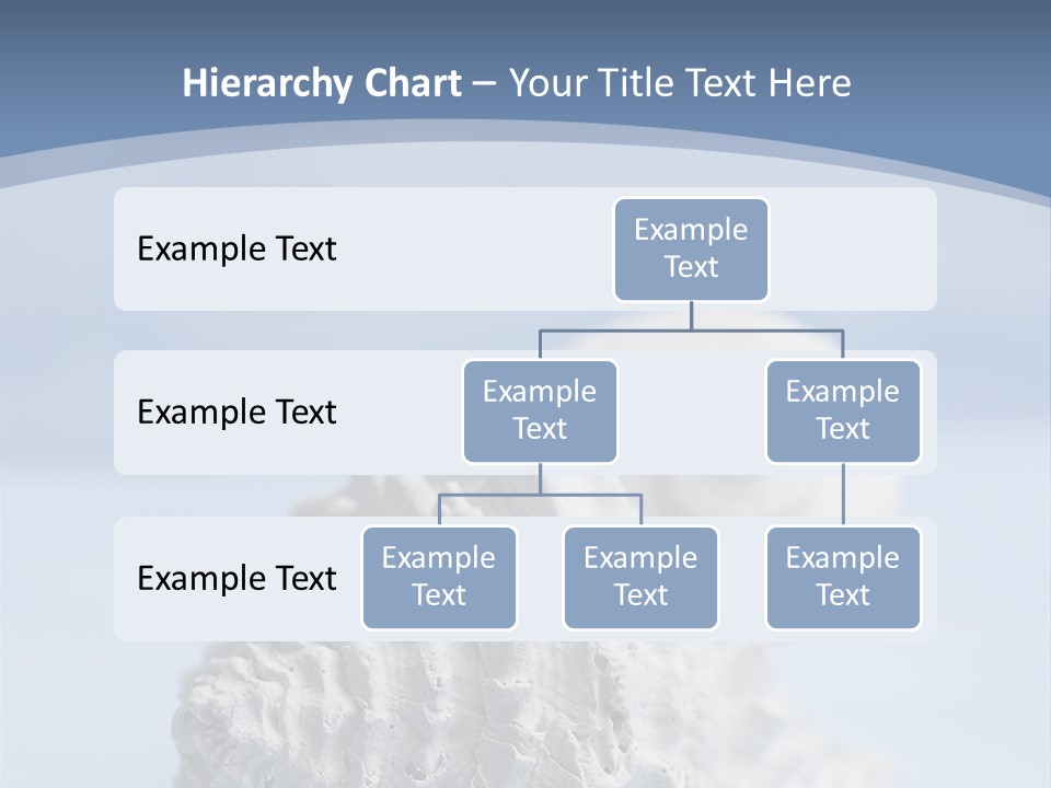 Shell Seashore Nobody PowerPoint Template