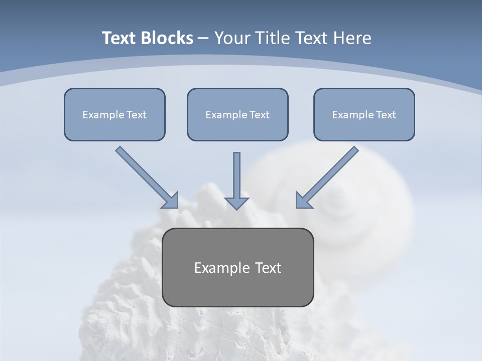 Shell Seashore Nobody PowerPoint Template