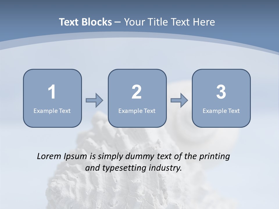 Shell Seashore Nobody PowerPoint Template