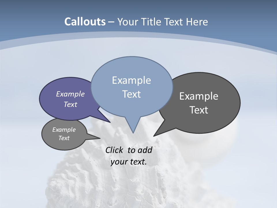 Shell Seashore Nobody PowerPoint Template