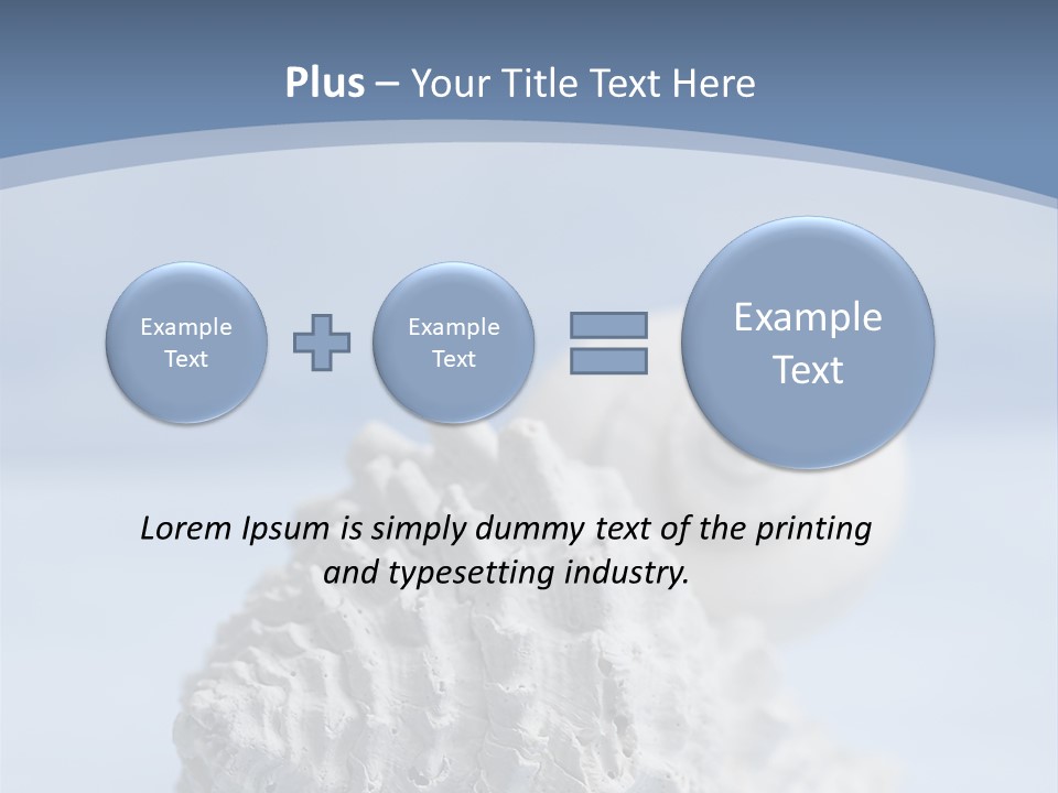 Shell Seashore Nobody PowerPoint Template