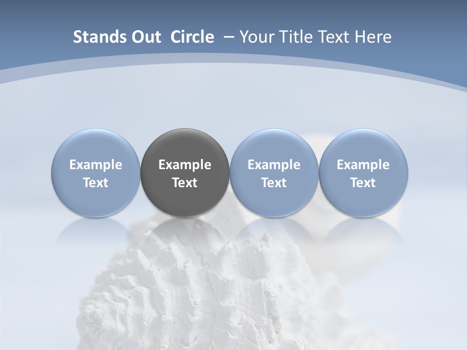 Shell Seashore Nobody PowerPoint Template