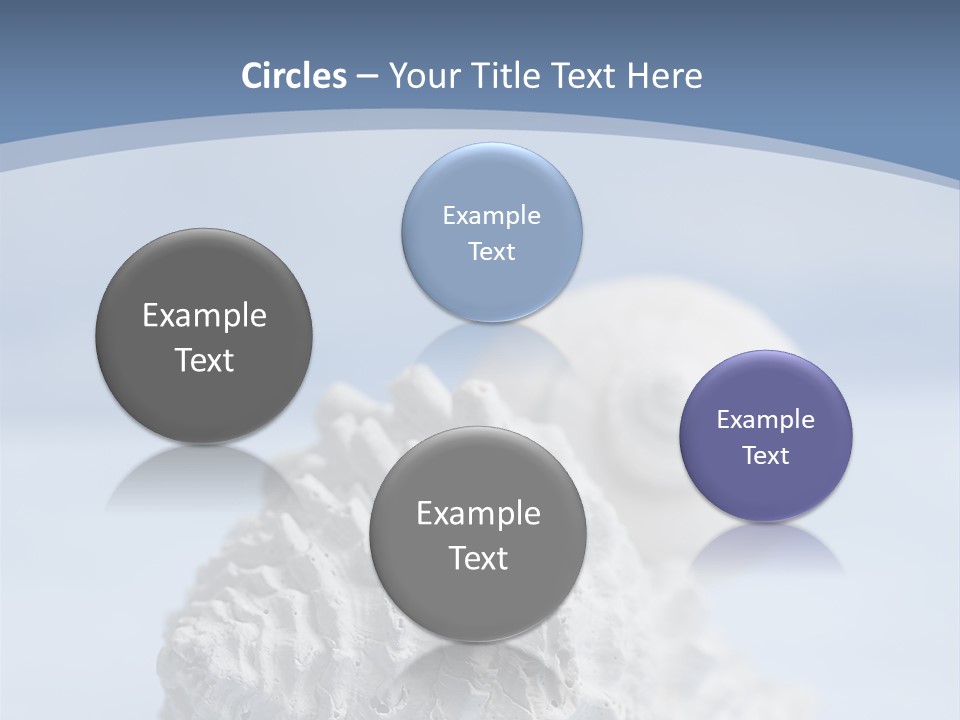 Shell Seashore Nobody PowerPoint Template