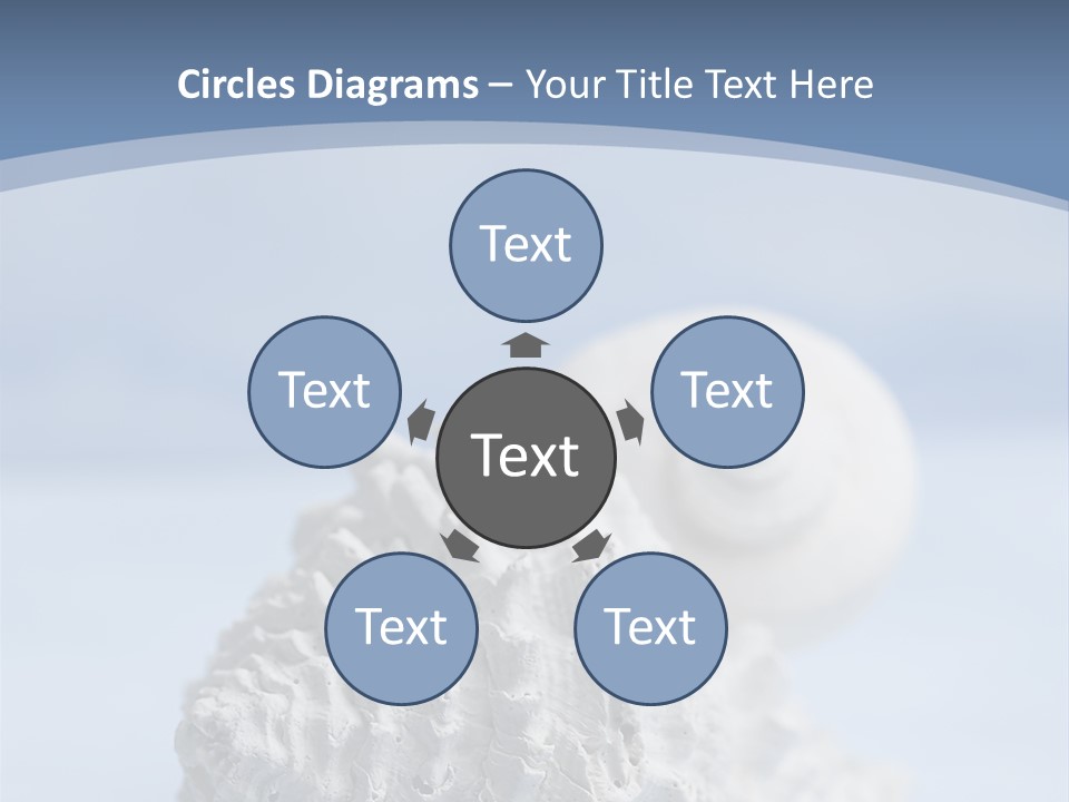 Shell Seashore Nobody PowerPoint Template