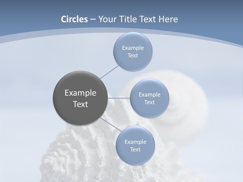 Shell Seashore Nobody PowerPoint Template