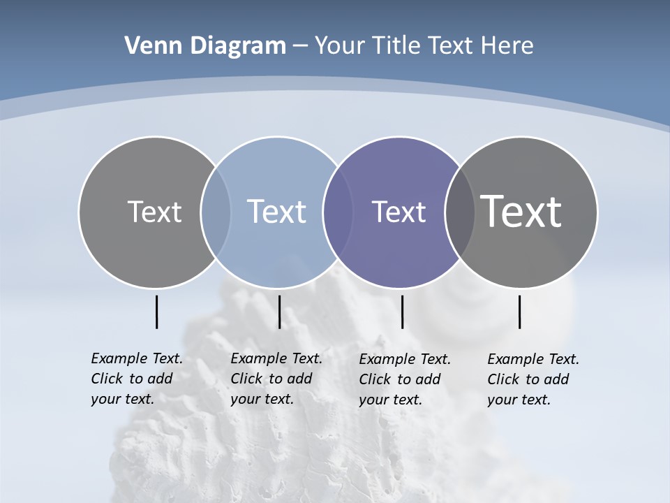 Shell Seashore Nobody PowerPoint Template