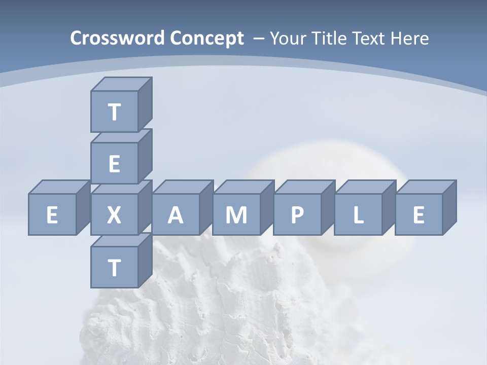 Shell Seashore Nobody PowerPoint Template