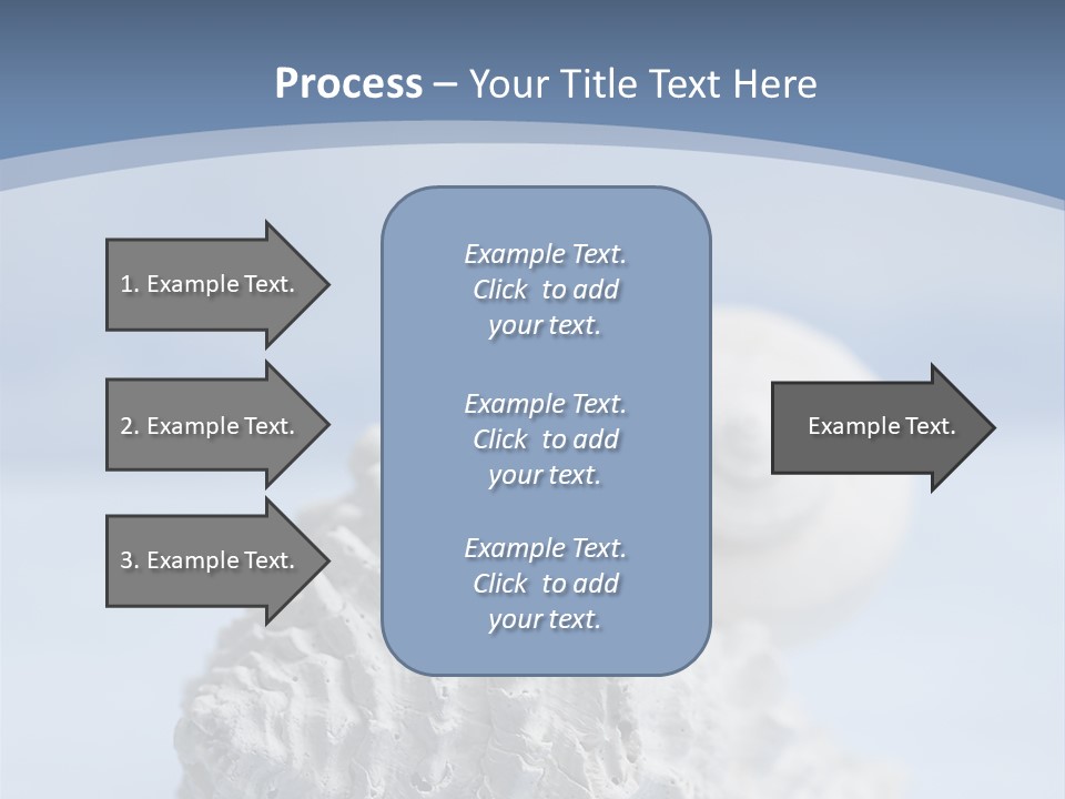 Shell Seashore Nobody PowerPoint Template